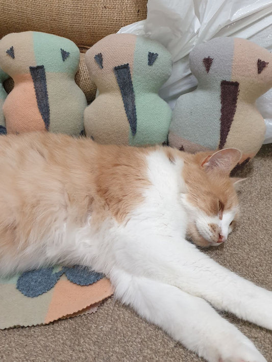 Kiwi Soft Toy